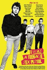 Watch I Was a Teenage Sex Pistol 2KMovies