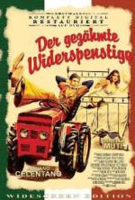 Watch The Taming of the Scoundrel 2KMovies