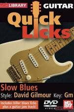 Watch Lick Library Quick Licks David Gilmour 2KMovies