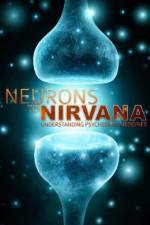 Watch Neurons to Nirvana 2KMovies