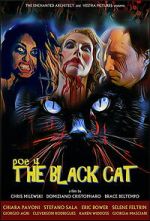 Watch POE 4: The Black Cat 2KMovies