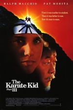 Watch The Karate Kid Part III 2KMovies