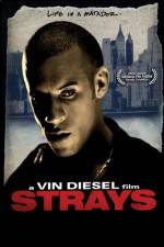 Watch Strays 2KMovies