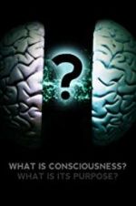 Watch What Is Consciousness? What Is Its Purpose? 2KMovies