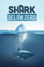 Watch Shark Below Zero 2KMovies