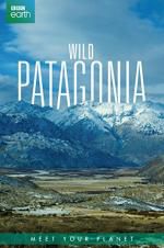Watch Wild Patagonia 2KMovies