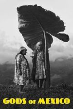 Watch Gods of Mexico 2KMovies