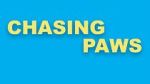 Watch Chasing Paws (Short 2020) 2KMovies