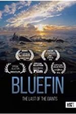 Watch Bluefin 2KMovies