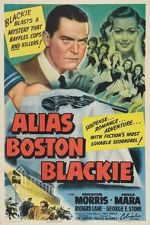 Watch Alias Boston Blackie 2KMovies
