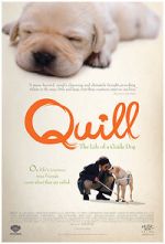 Watch Quill: The Life of a Guide Dog 2KMovies