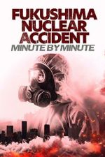 Watch Fukushima Nuclear Accident - Minute by minute 2KMovies