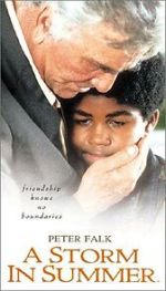 Watch A Storm in Summer 2KMovies