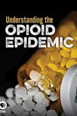 Watch Understanding the Opioid Epidemic 2KMovies