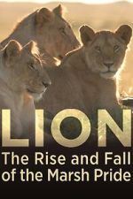 Watch Lion: The Rise and Fall of the Marsh Pride 2KMovies