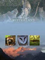 Watch Wilde Schweiz 2KMovies