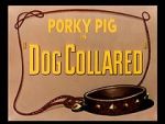 Watch Dog Collared (Short 1950) 2KMovies