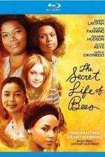 Watch The Secret Life of Bees 2KMovies