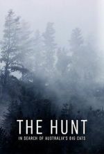 Watch The Hunt: In Search of Australia\'s Big Cats 2KMovies