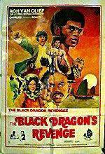 Watch The Black Dragon's Revenge 2KMovies