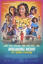 Watch Breaking News in Yuba County 2KMovies