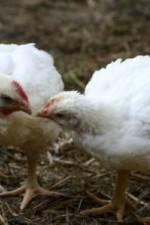 Watch Meet Your Meat 2KMovies