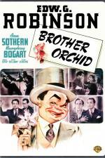 Watch Brother Orchid 2KMovies