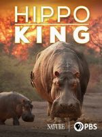 Watch Hippo King 2KMovies