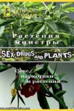 Watch National Geographic Wild: Sex Drugs and Plants 2KMovies