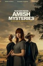 Watch Sugarcreek Amish Mysteries: Blessings in Disguise 2KMovies