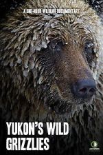 Watch Yukon\'s Wild Grizzlies 2KMovies
