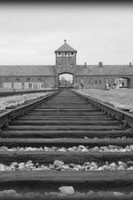 Watch AUSCHWITZ: ORDERS AND INITIATIVES 2KMovies