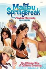 Watch Malibu Spring Break 2KMovies