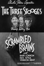 Watch Scrambled Brains 2KMovies