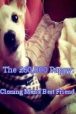 Watch The 60,000 Puppy: Cloning Man's Best Friend 2KMovies