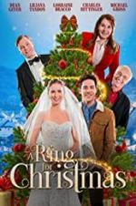Watch A Ring for Christmas 2KMovies