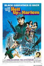 Watch Hell Up in Harlem 2KMovies