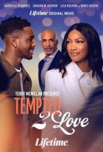 Watch Terry McMillan Presents: Tempted 2 Love 2KMovies