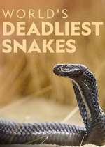 Watch World's Deadliest Snakes 2KMovies