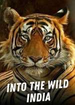 Watch Into the Wild India 2KMovies