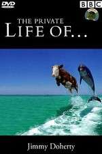 Watch The Private Life of 2KMovies