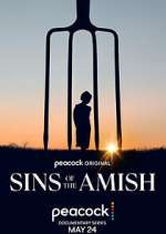Watch Sins of the Amish 2KMovies