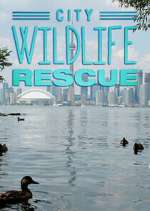 Watch City Wildlife Rescue 2KMovies
