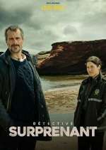 Watch Détective Surprenant : la fille aux yeux de pierre 2KMovies