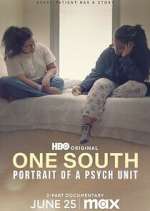 Watch One South: Portrait of a Psych Unit 2KMovies