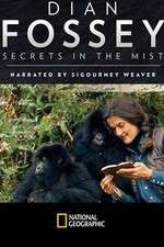 Watch Dian Fossey: Secrets in the Mist 2KMovies