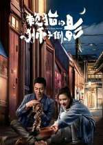 Watch The Lion's Secret 2KMovies