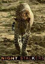 Watch Night Stalkers 2KMovies