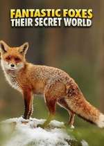 Watch Fantastic Foxes: Their Secret World 2KMovies