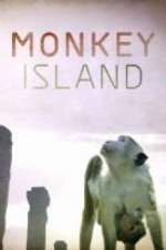 Watch Monkey Island 2KMovies